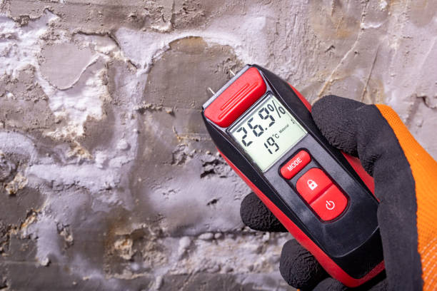 Best Local Mold Removal Service  in Huntgton, IN