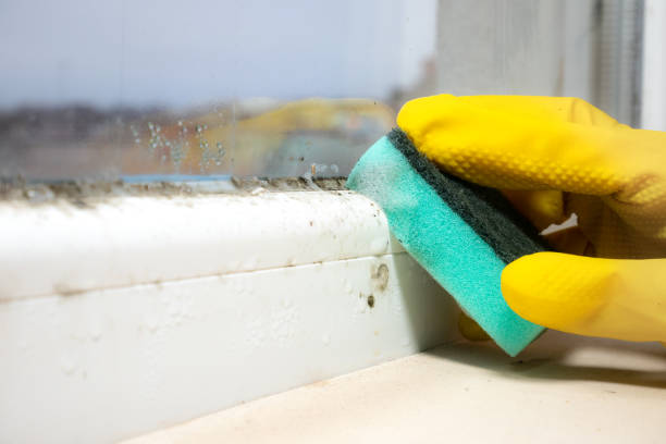Best Mold Testing  in Huntgton, IN