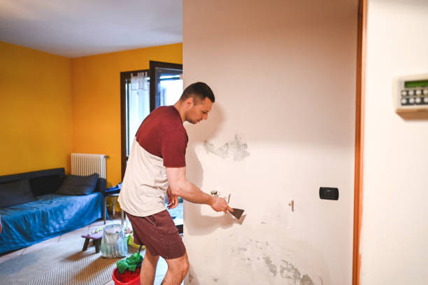 Best Affordable Mold Removal  in Huntgton, IN
